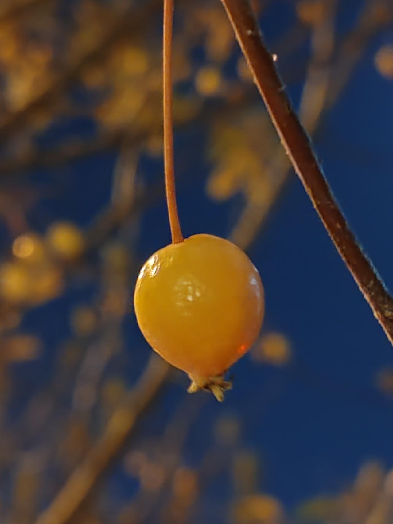 世间哪有真情在，借钱场上走一遭。可怜借家钱舍去，是存大义真丈夫。