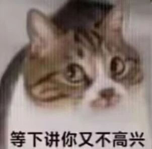 小猫咪表情包 