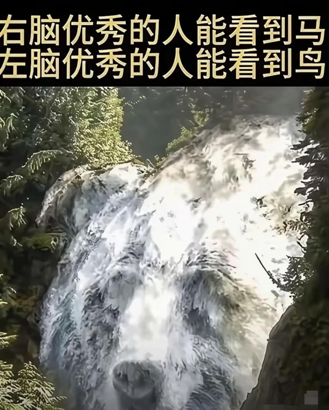 你看到的是什么？