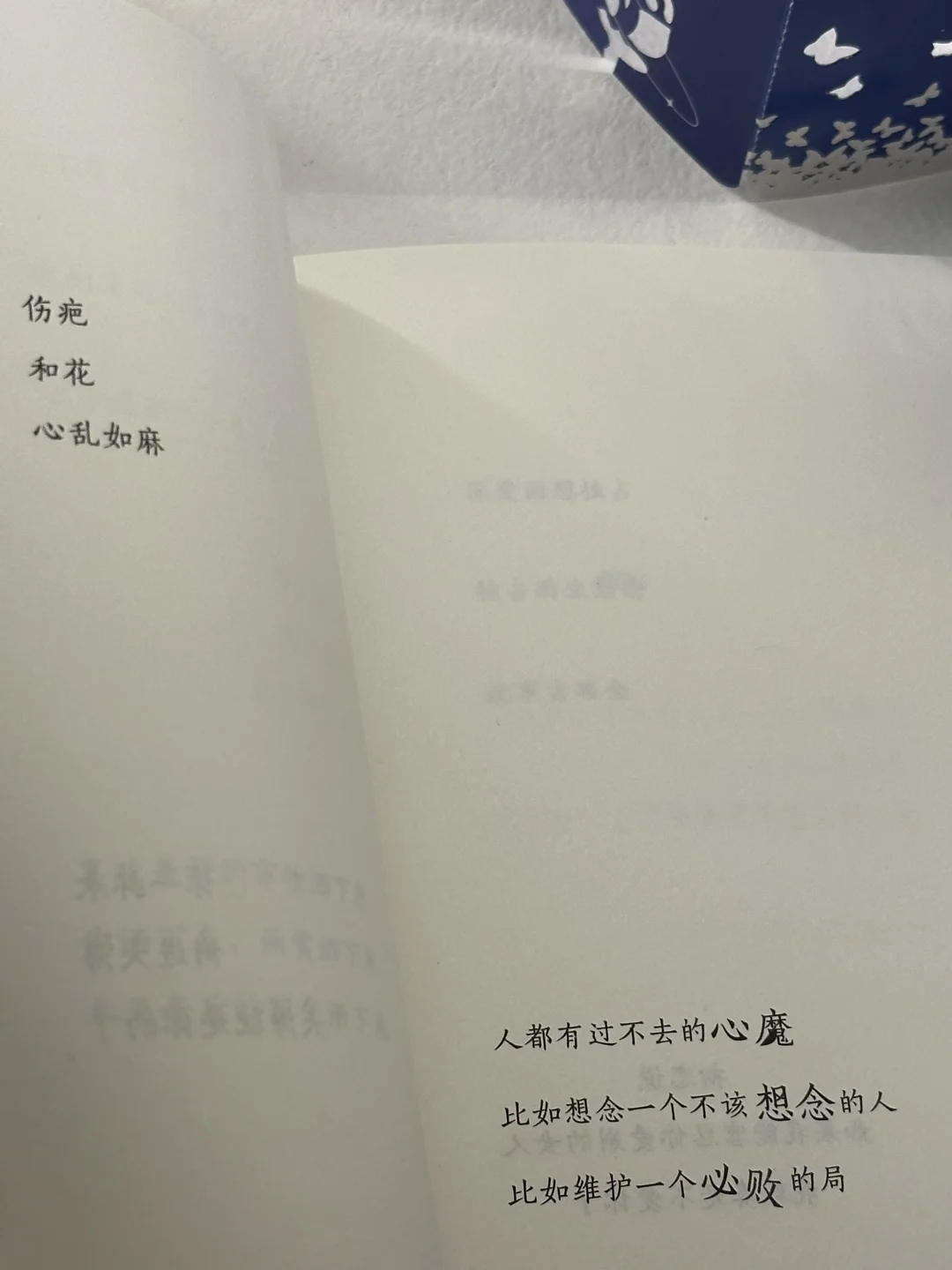 🔵成年人不缺想念，缺的是见面