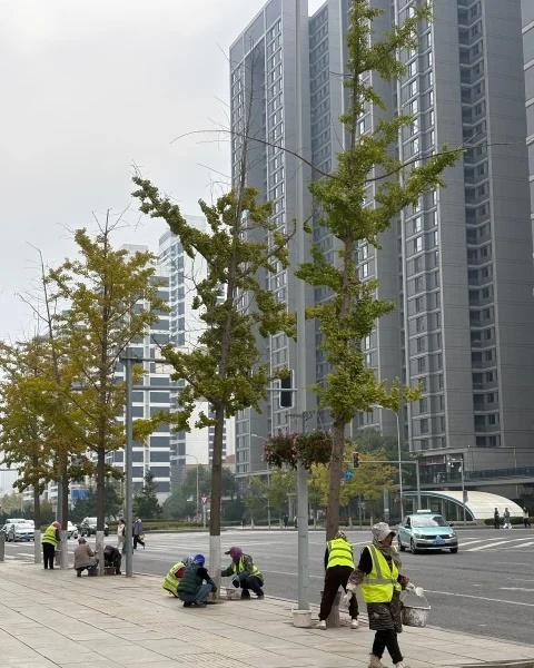 新一代🆕城市画家👩🏻‍🎨👨🏻‍🎨美容师
城市🏙️建设离不开每个人