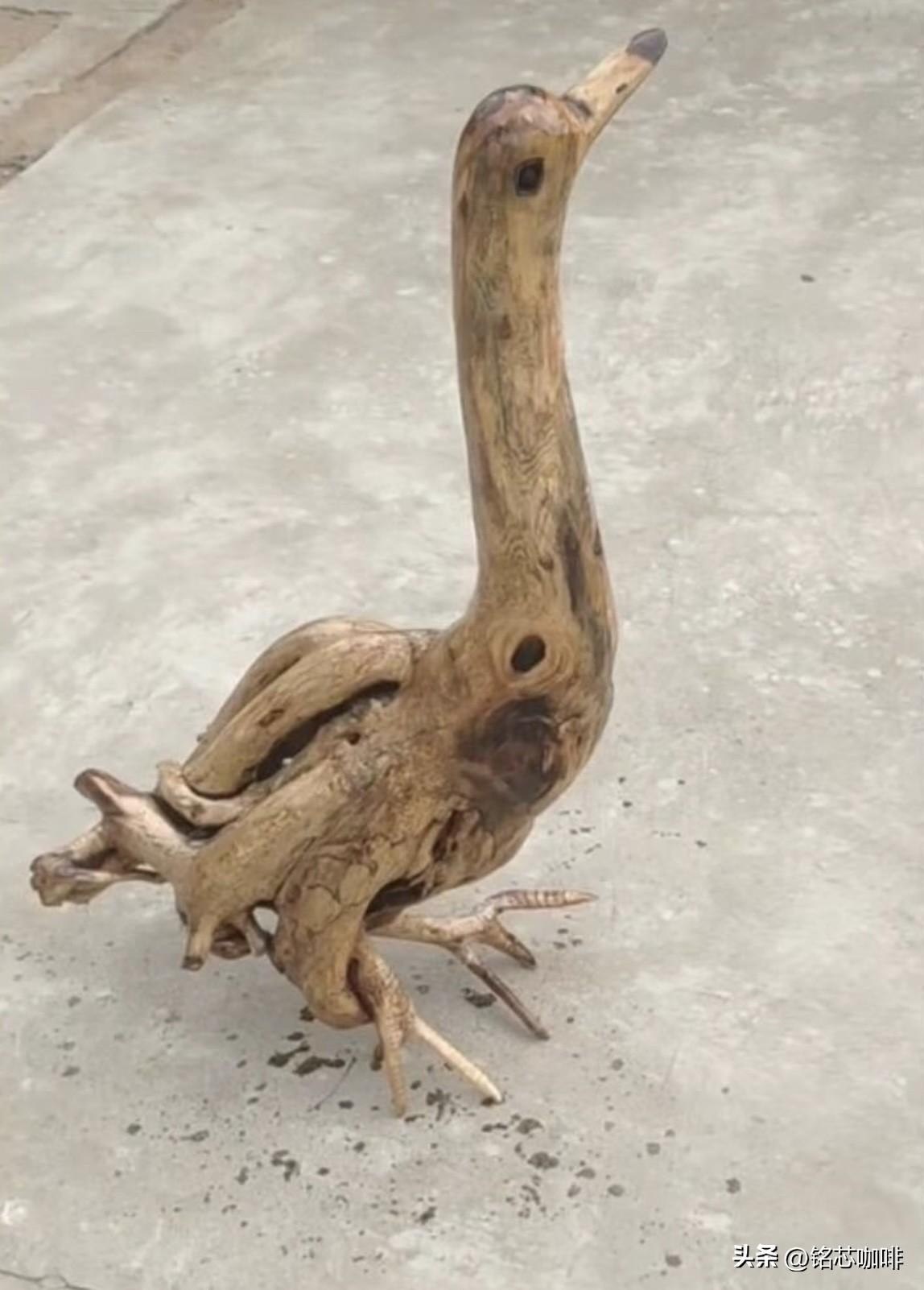 这个根雕是鹅还是鸭，
我看这个木鹅鸭保养得好，
活1000年都不是问题吧‼️