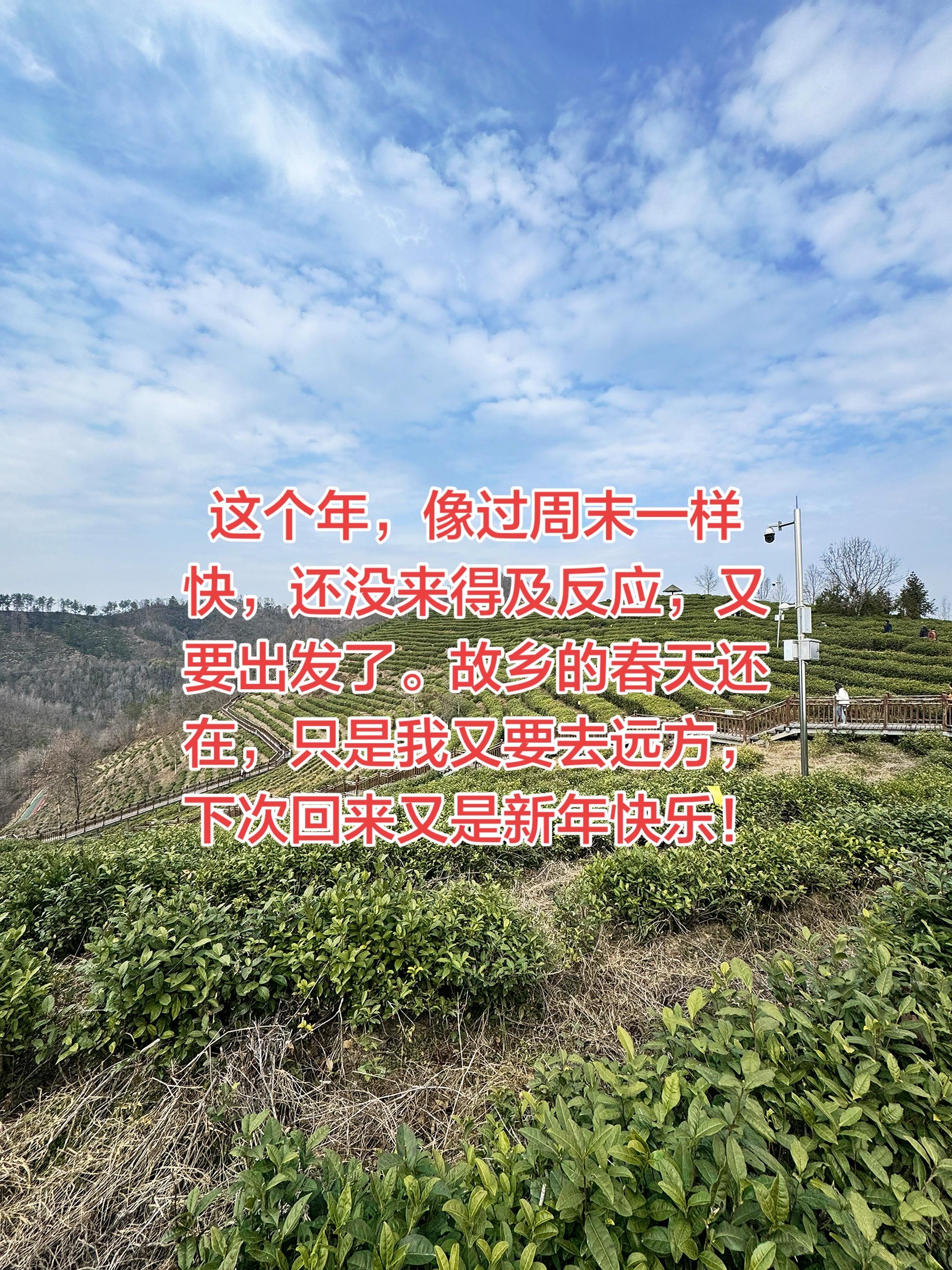 这个年，像过周末一样快，还没来得及反应，又要出发了。故乡的春天还在，只...