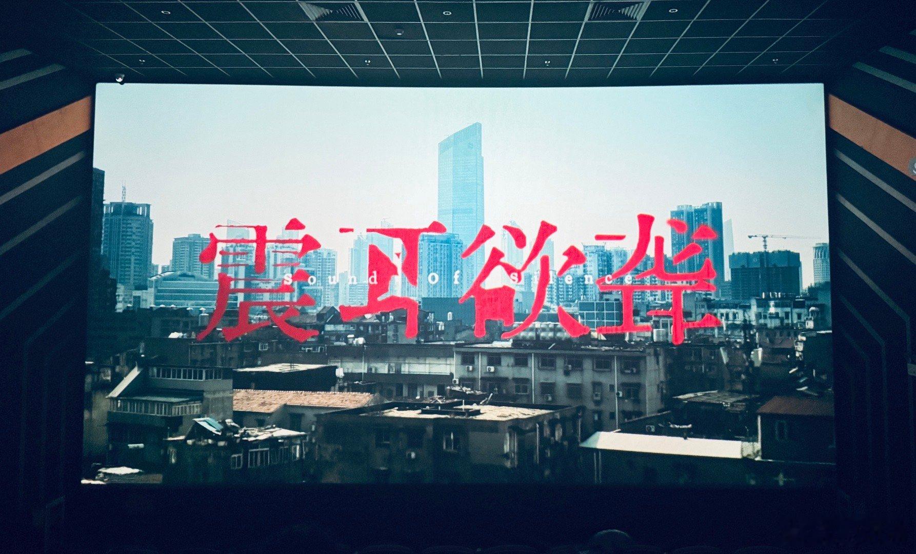 电影震耳欲聋 国庆档最后一部片子，没有想象中那么好，但中规中矩，同样是诈骗题材，