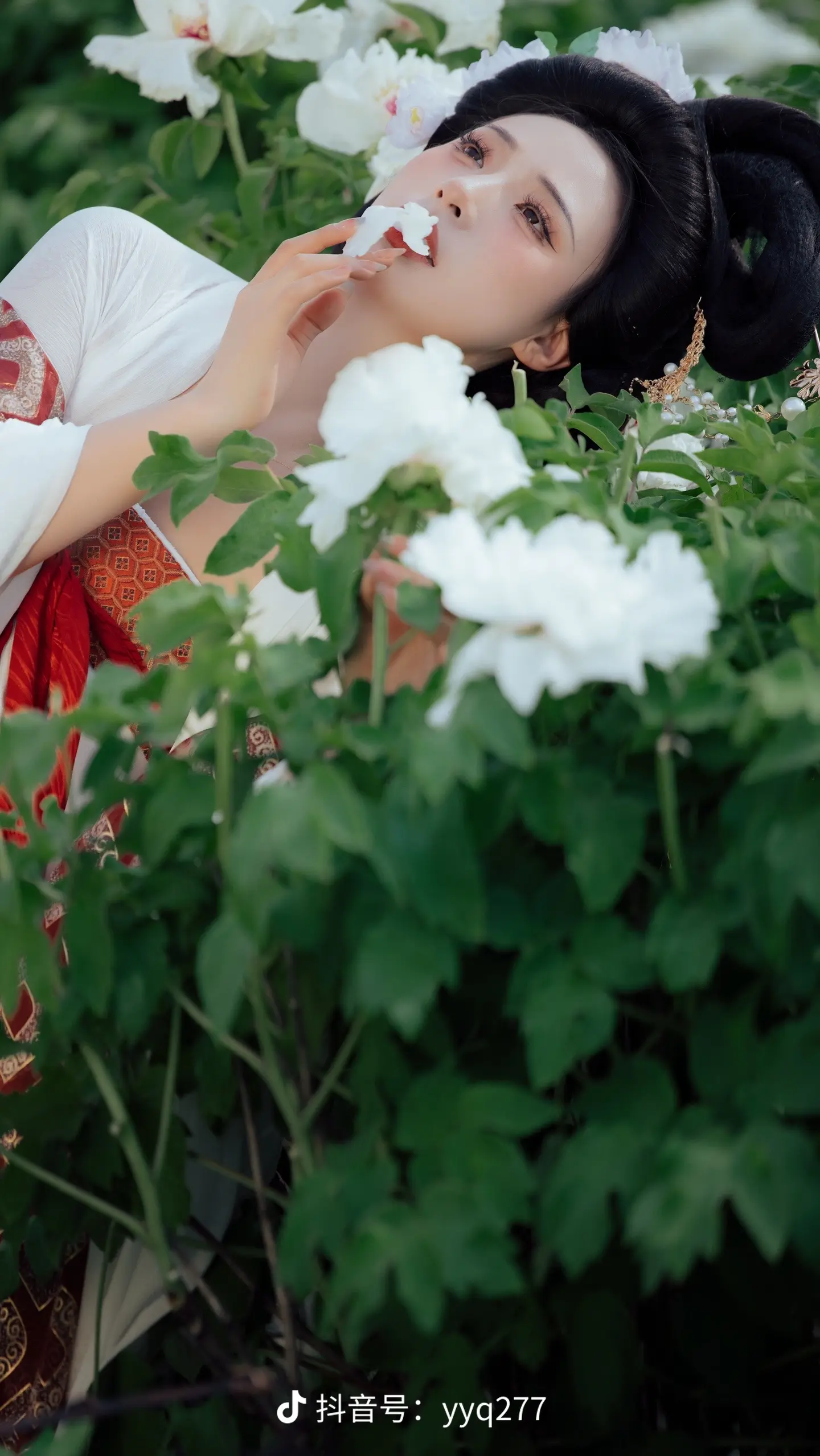 唯有牡丹真国色。