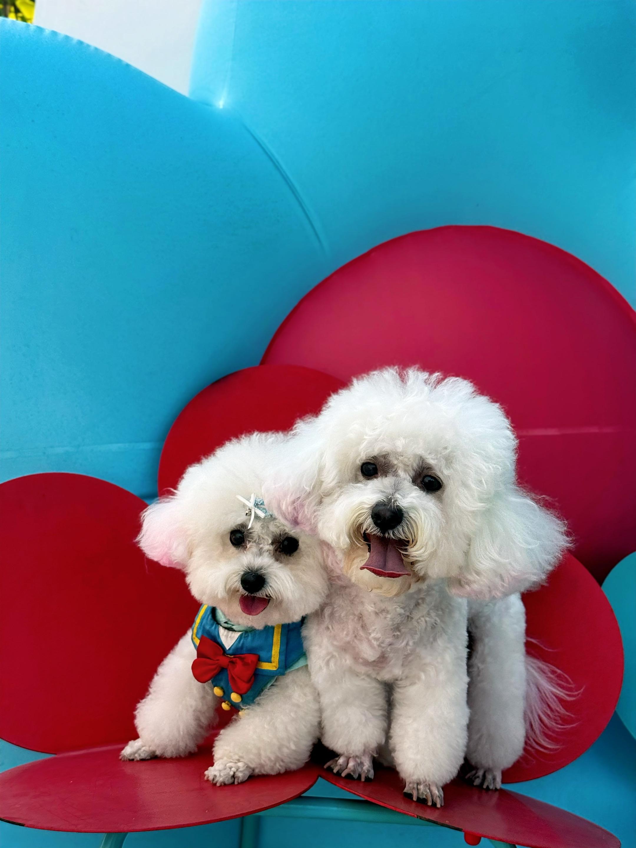 好朋友见面方式