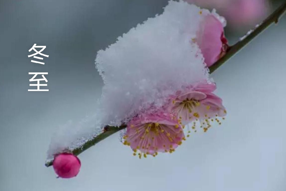 七绝.冬至

夜最长时日至南，
阴沉阳始正冬酣。
严严九事如今启，
新岁一轮天更