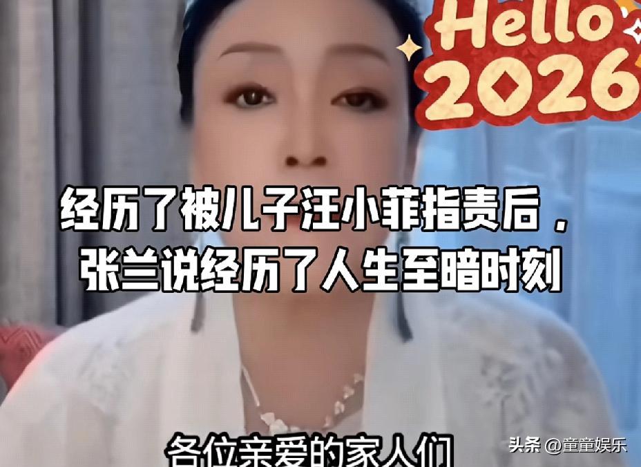 汪小菲对着镜头扯着嗓子喊出我不姓张麻六记一股没她的份时，回京出租车里的张兰死死抠