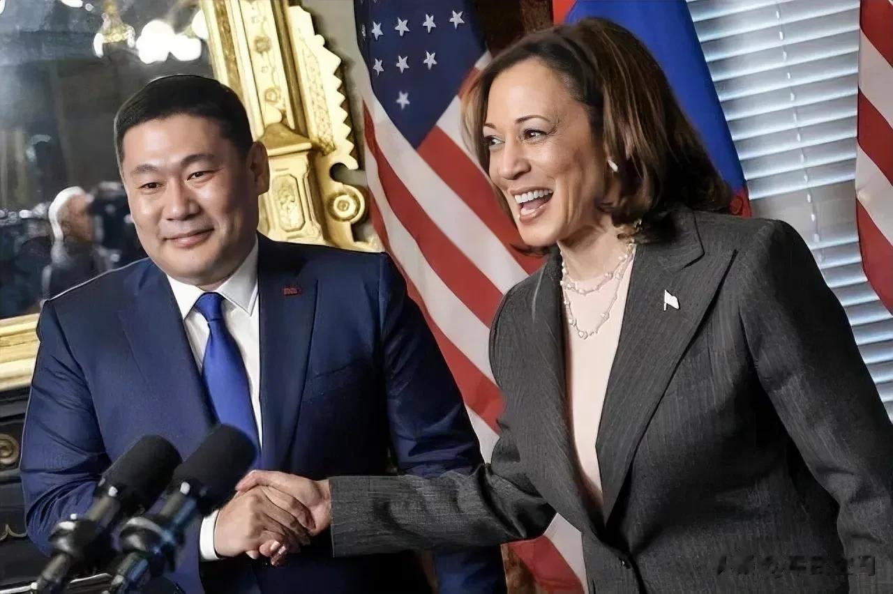 反转！美蒙总量3100万吨的稀土交易合同，被蒙古国单方面取消。
在美国与蒙古国签