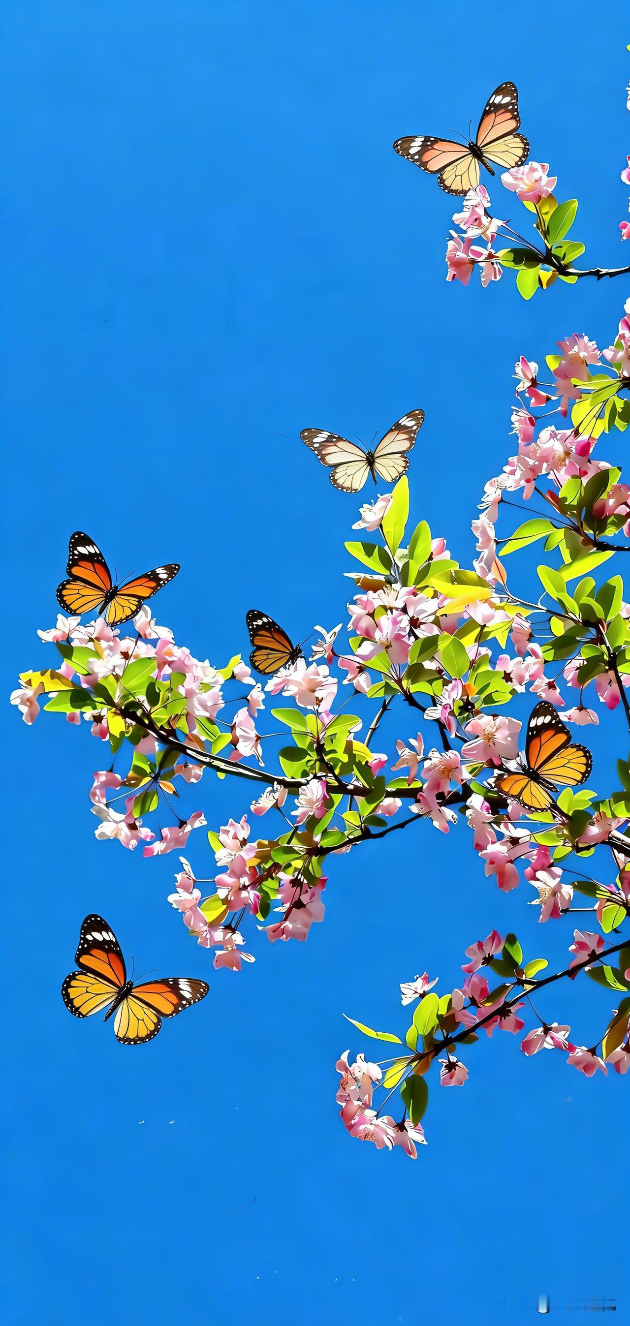 心理学家说：
“什么样的人，一眼就能看出有童年创伤？就看这3点：
第一，胆小怕事