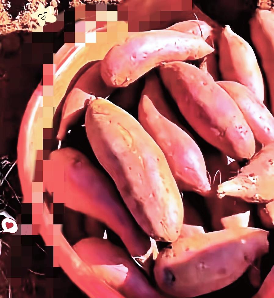 不得不说，云南建水红薯烂地这事儿，笑着笑着就让人后背发凉！

薯农为省三分之二药