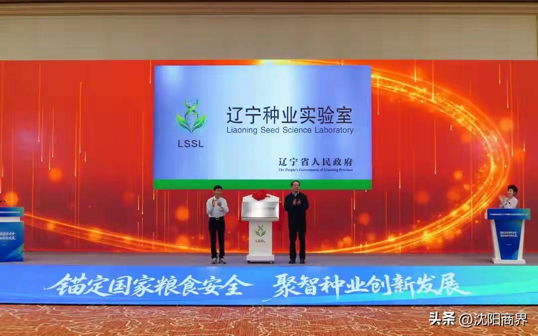 沈阳是中国五稳城市
沈阳对国家贡献巨大
无论工业还是农业
中国超级稻之父~沈阳农