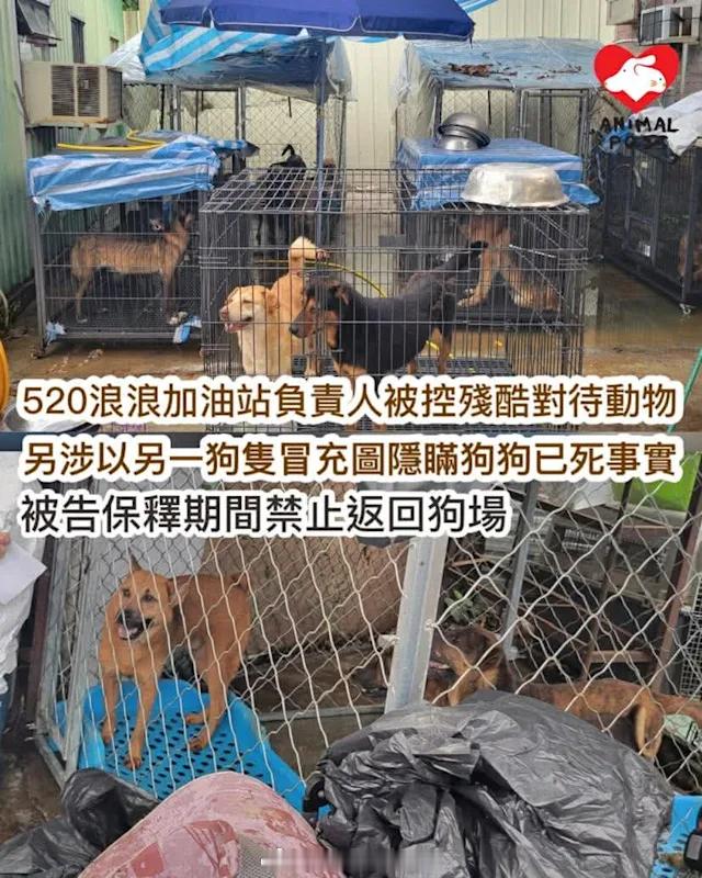 新界屯门裁判法院香港执法香港刑法香港监狱 「520浪浪加油站負責人被控六項殘酷對