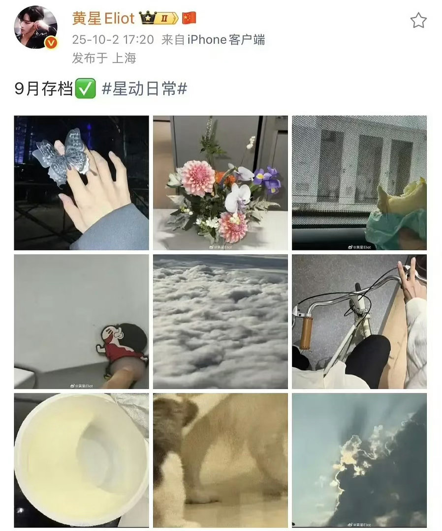 姐姐们得去工作了，但咪不同意～ 