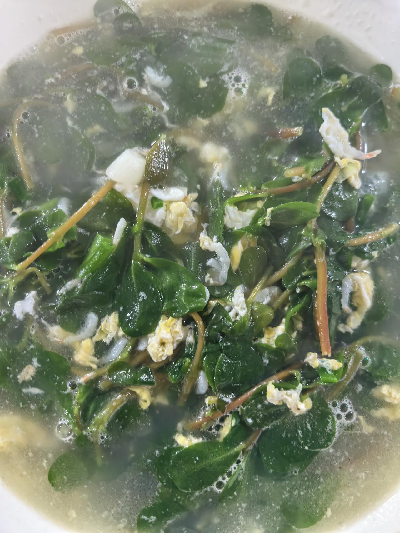 马齿笕毛虾蛋花汤[赞][赞][赞]