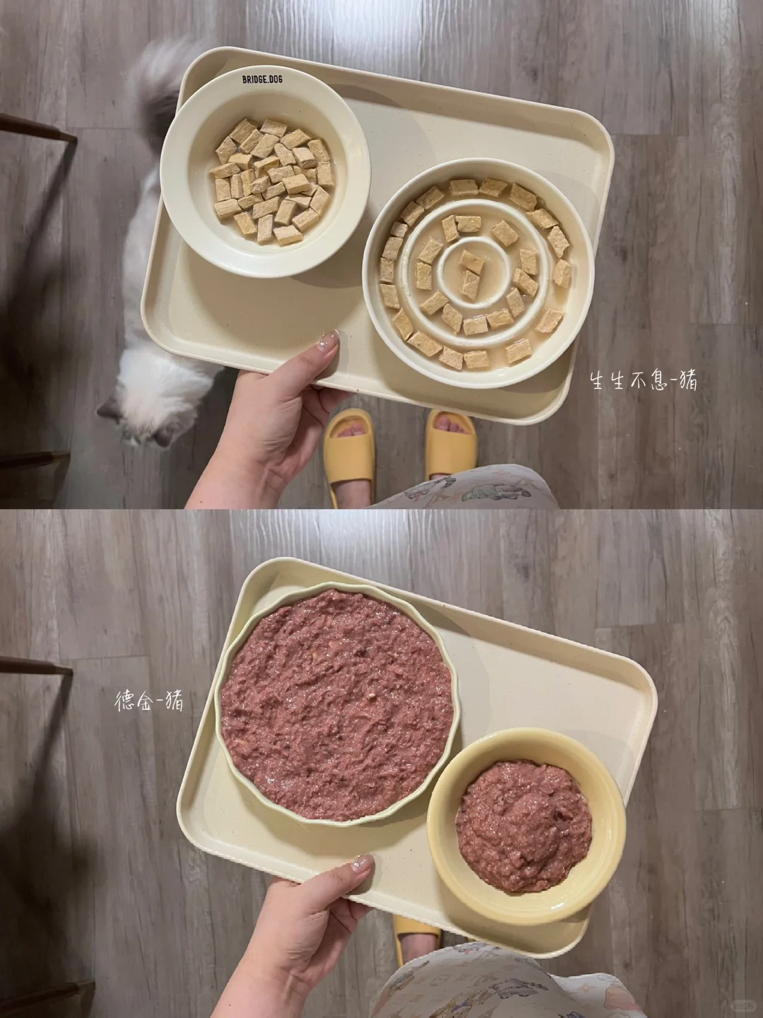 慢食碗用了两天小有成效🌀