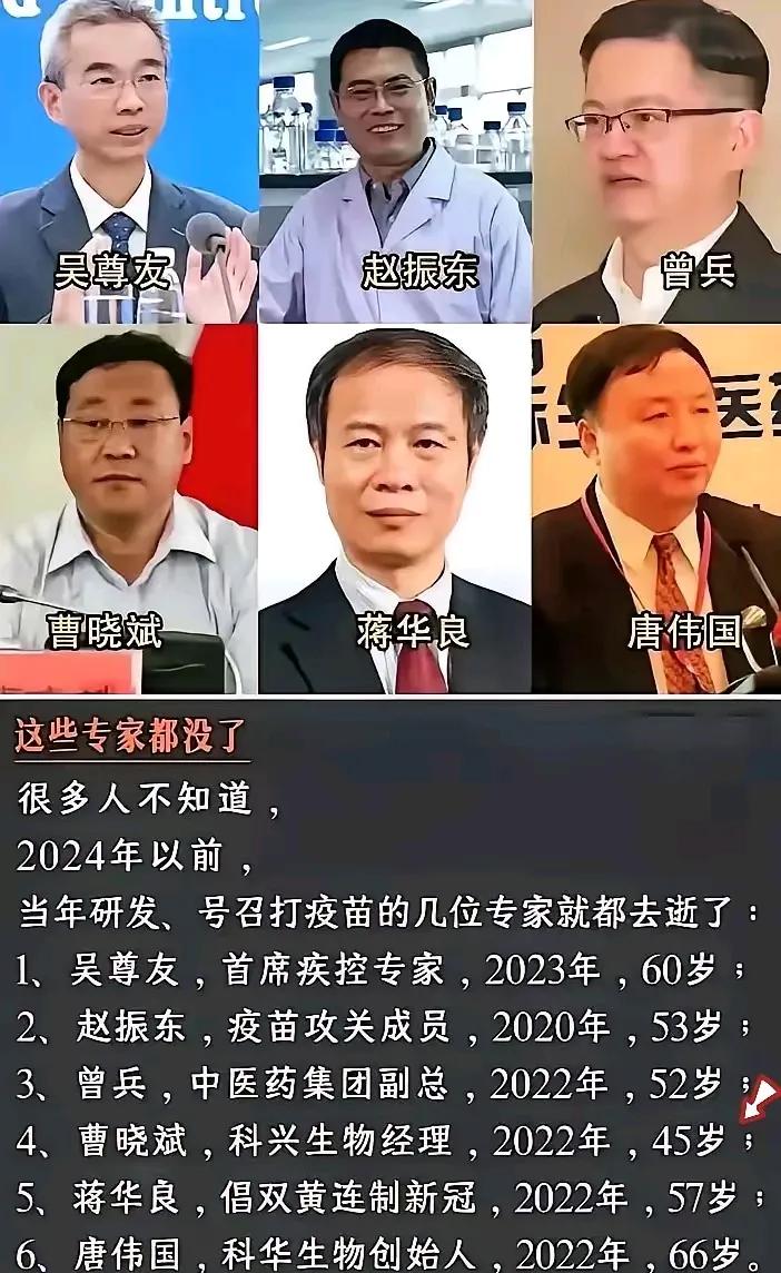 吴尊友作为联合国艾滋病规划署科学委员会委员，2010年4月28日，在他们那批人的