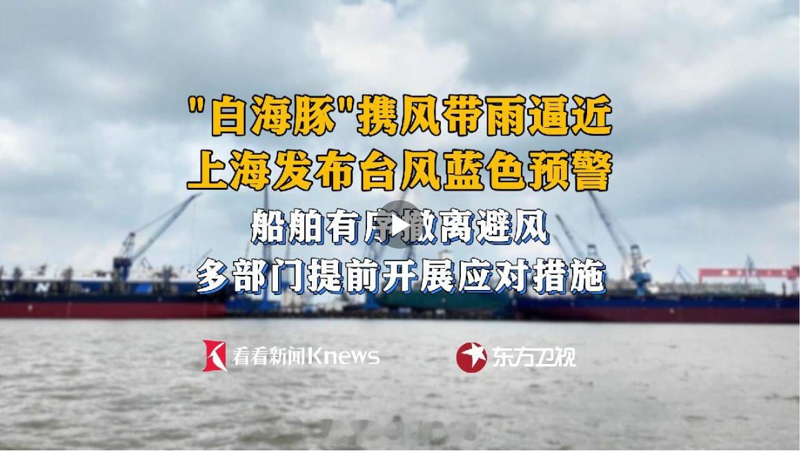台风天上海打工人等通知别只笑打工人“白海豚来了也得上班”，该问的是：为什么每次都