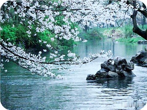 #上联：山东山西都有山，诚邀下联#湖南湖北都有湖