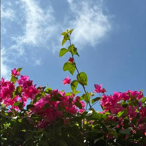 3个万亿级消费领域和10个千亿级消费热点   总量达到了4万亿   中小微企业“