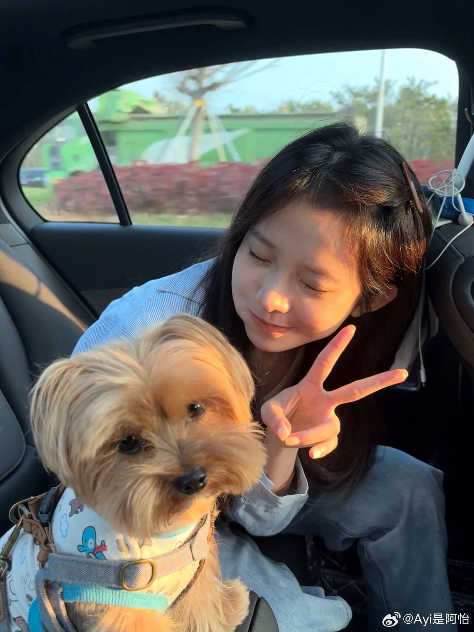 🐶 ​​​