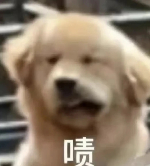 办公室奶茶文化 想喝自己点呗，实在不理解轮流点奶茶是为了啥，万一忘了轮到谁了咋弄