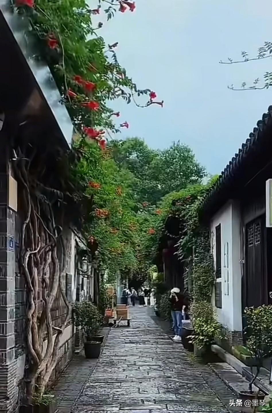 致教育的一盏明灯:

忽闻先生踏鹤远去，执笔刹那，指尖冰凉。

先生以言为灯，照