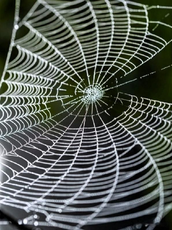 想要越来越顺 ，
你就要先做好一件事：

肃清你的圈子，远离一直混得差的人！
