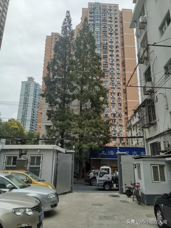 上海二手房市场挺复杂。一方面，地段优势明显。静安、黄浦等核心区域的二手房，周边配