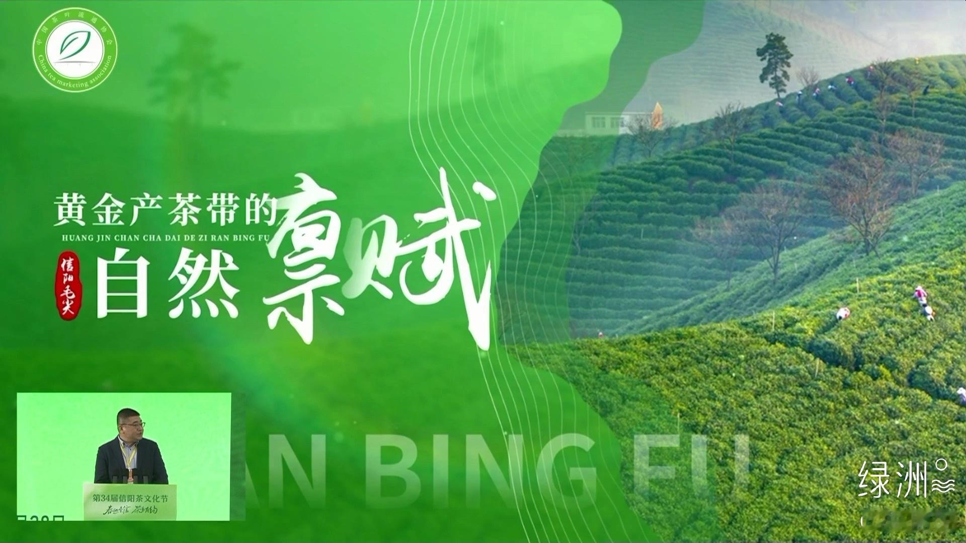 中国绿茶标杆信阳毛尖 4月28日，在第34届信阳茶文化节  开幕式上，中国茶叶流