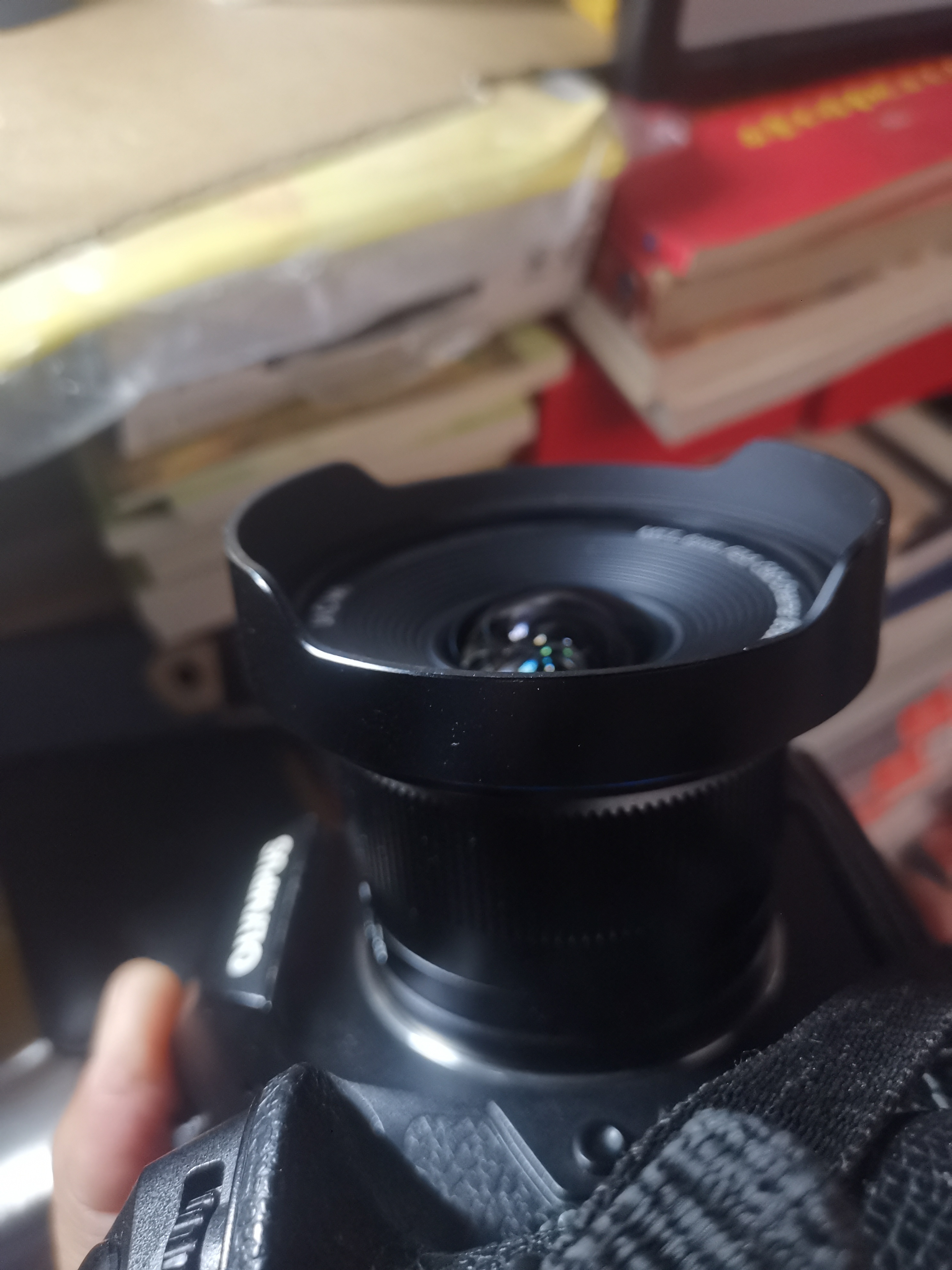 老蛙6mm F2 