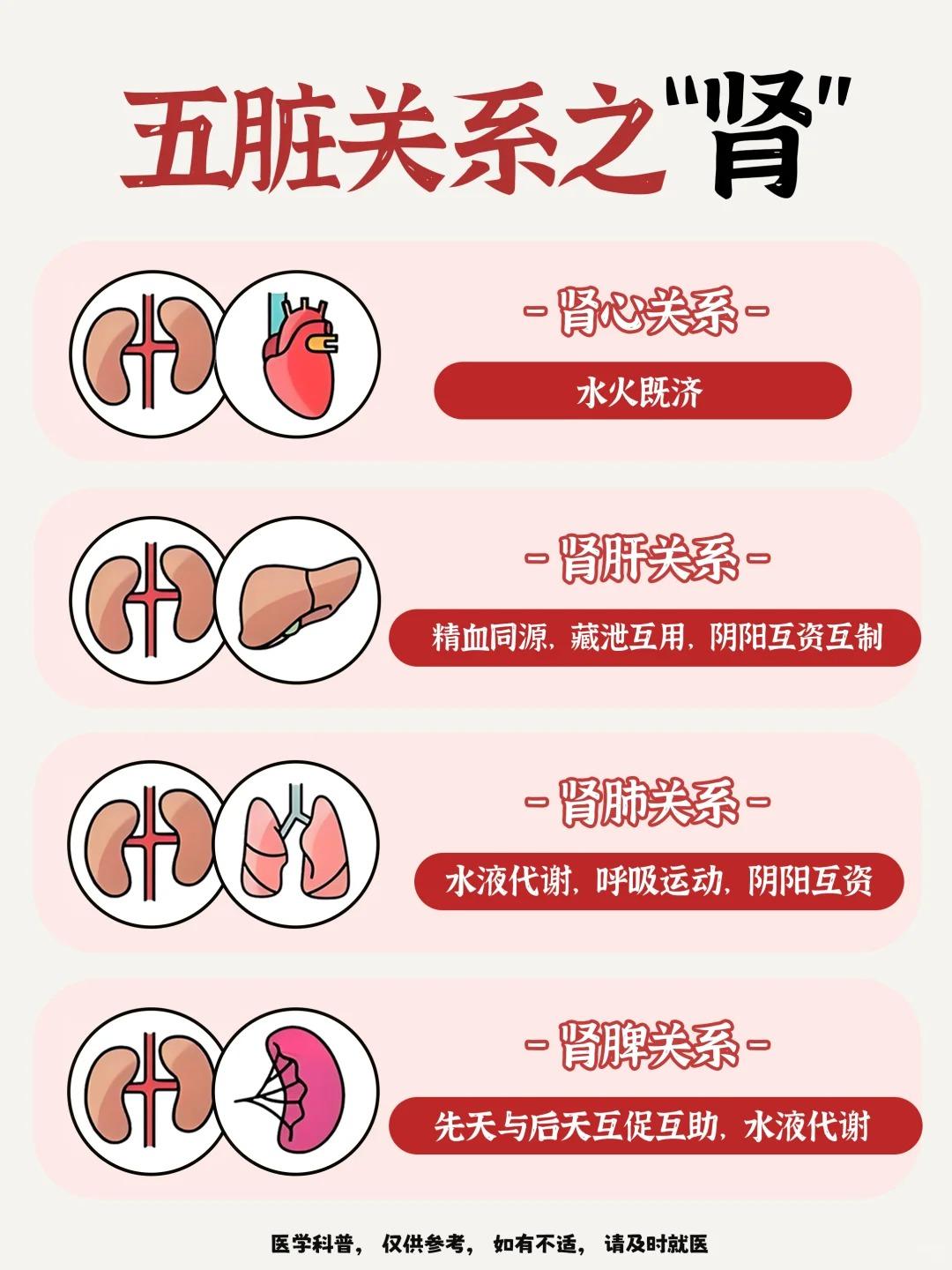 补肾不是只补腰！而是牵动五脏的连环扣！