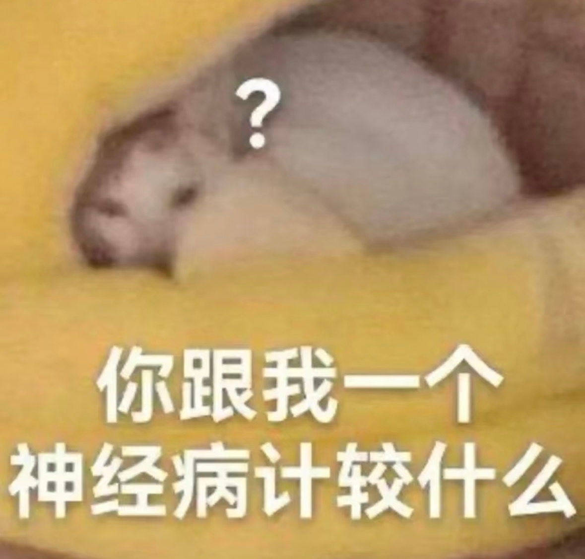 无泪赵鹭鸶他俩就是被人一边捆一边踩…这几个合作对手不是提前埋线炒发现炒不出东西走