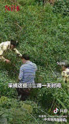 重庆，一户人家，家里的老人忽然重病住院了。
这家人姓啥来着……姓陈，老陈头。七十