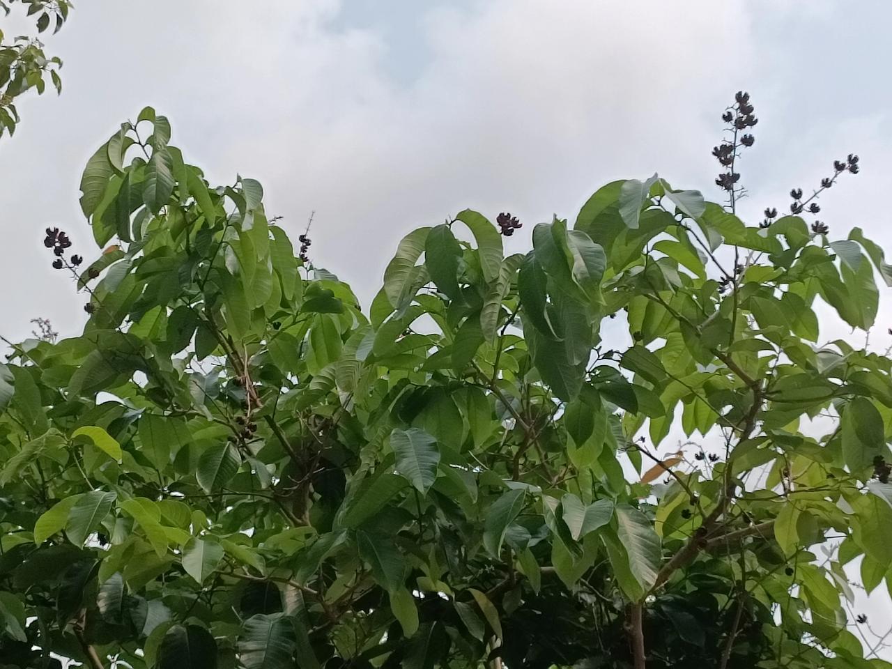 今天天气好晴朗
阳光明媚
气温舒适
不冷也不太热
[爆竹][爆竹][点亮平安灯]