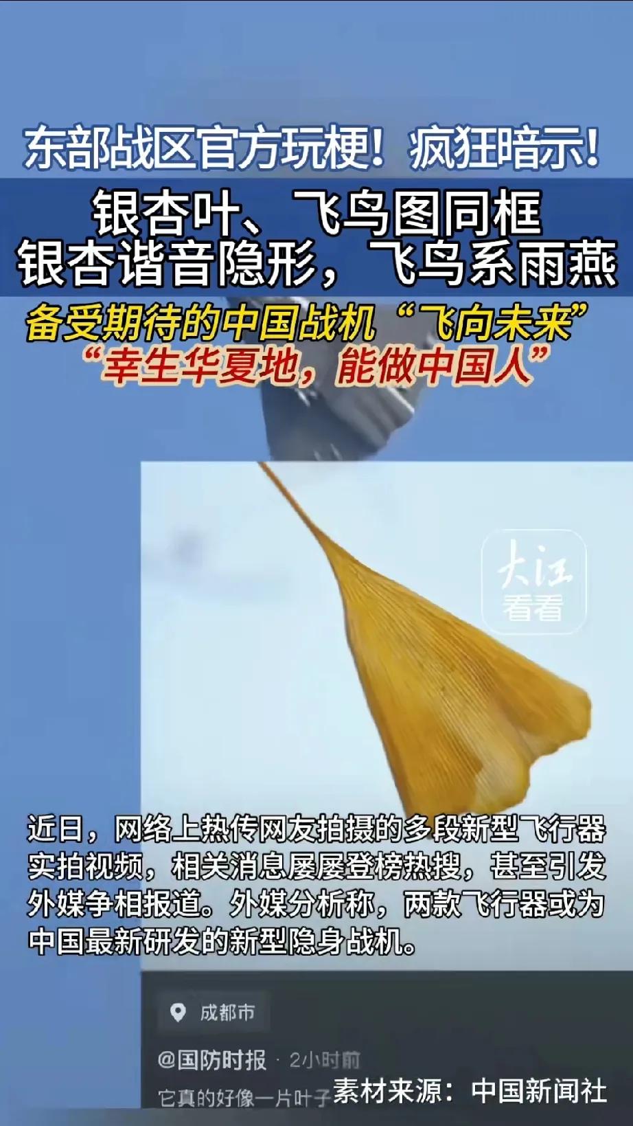 就在前几天，我忽然无缘无故的捡了一片银杏叶，在喝茶的时候足足思考了十分钟，说它像