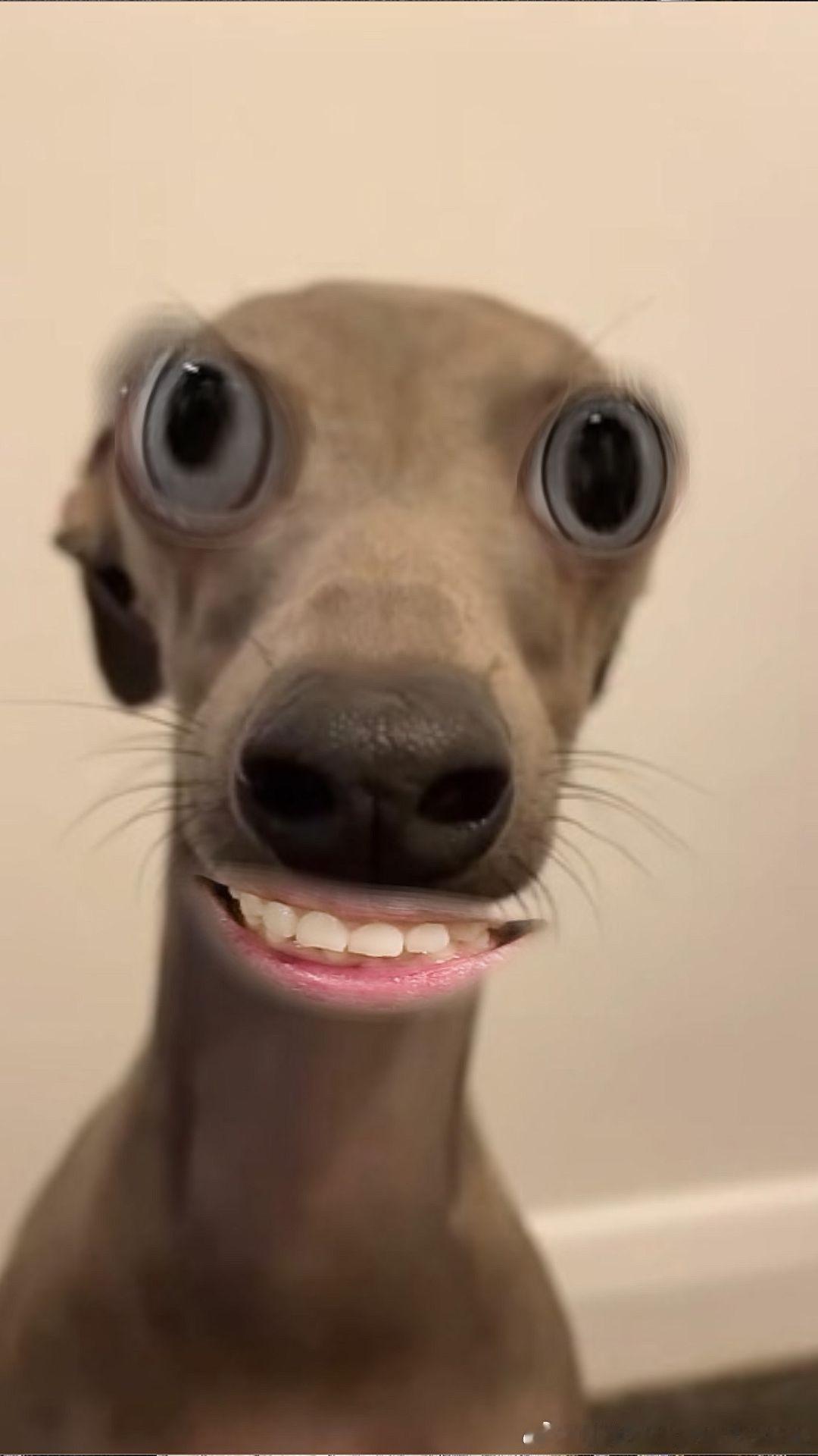本人长这样 ​​​