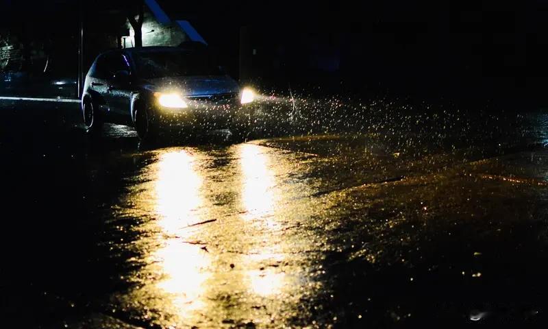 一场夜雨不解风情
掀开我的雨伞还有头发
路人奔跑溅起的泥巴
面朝着我的裤管还有脸