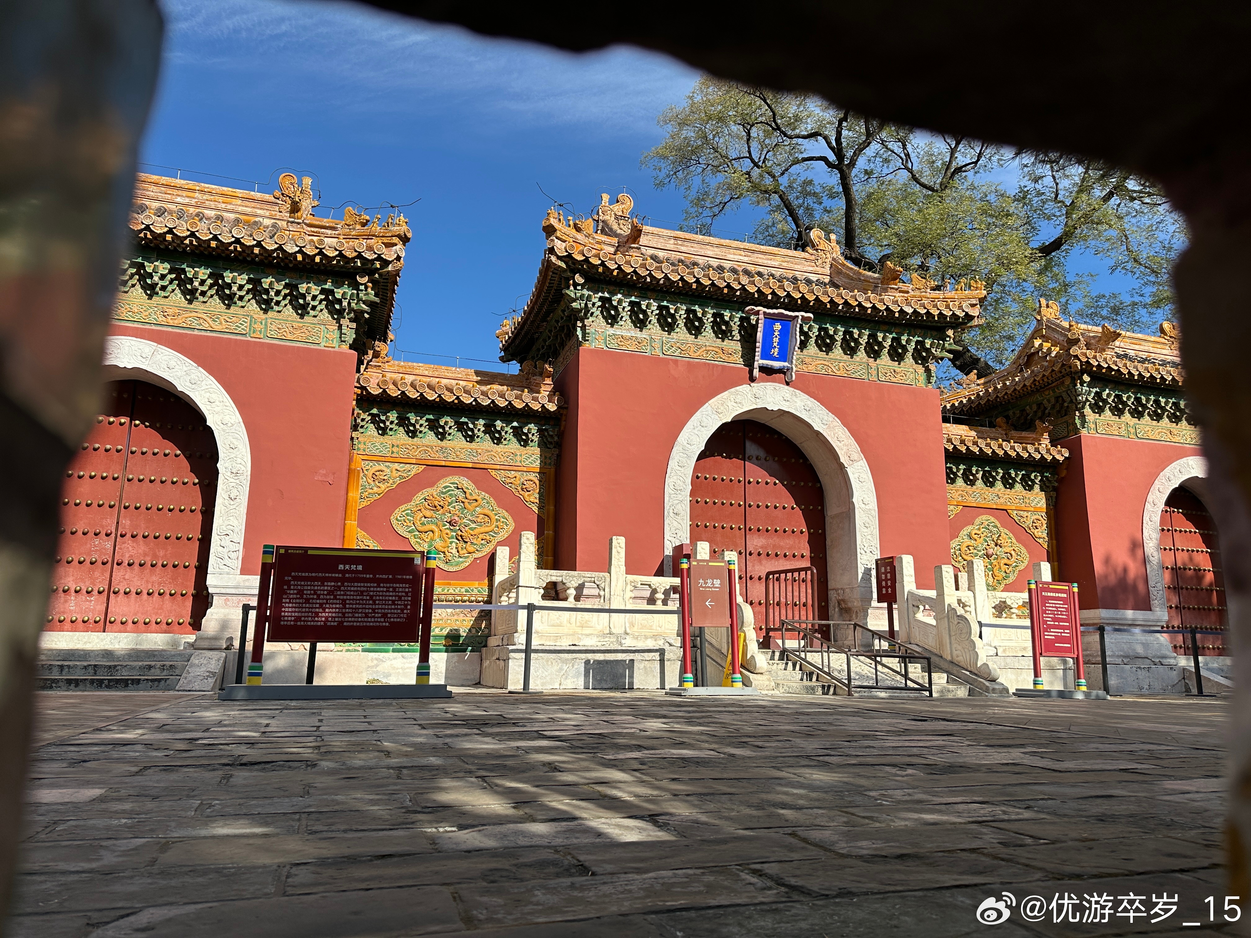 每天随手拍身边 秋色迷人的北京，看深秋的阳光透过金黄的树叶，洒在朱红的宫墙上，仿