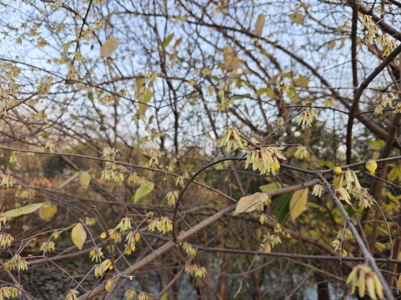 西溪湿地周家村风景优美，此地因为拍摄电影《非诚勿扰》而闻名天下。当影片中的男主秦