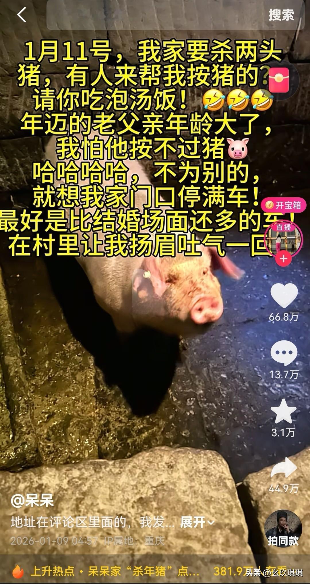 1月11号，我家要杀两头猪，有人来帮我按猪的？请你吃泡汤饭！年迈的老父亲年龄大了