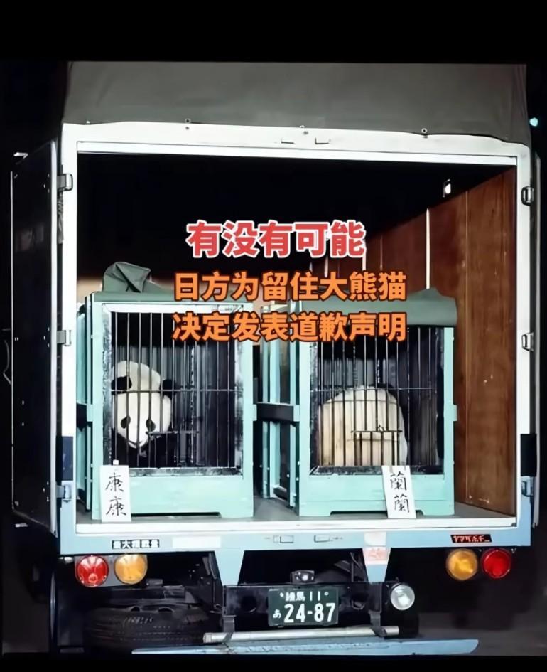 有没有可能，日方为了留住大熊猫，决定发表道歉声明，一定要分两次撤回熊猫，这样让小