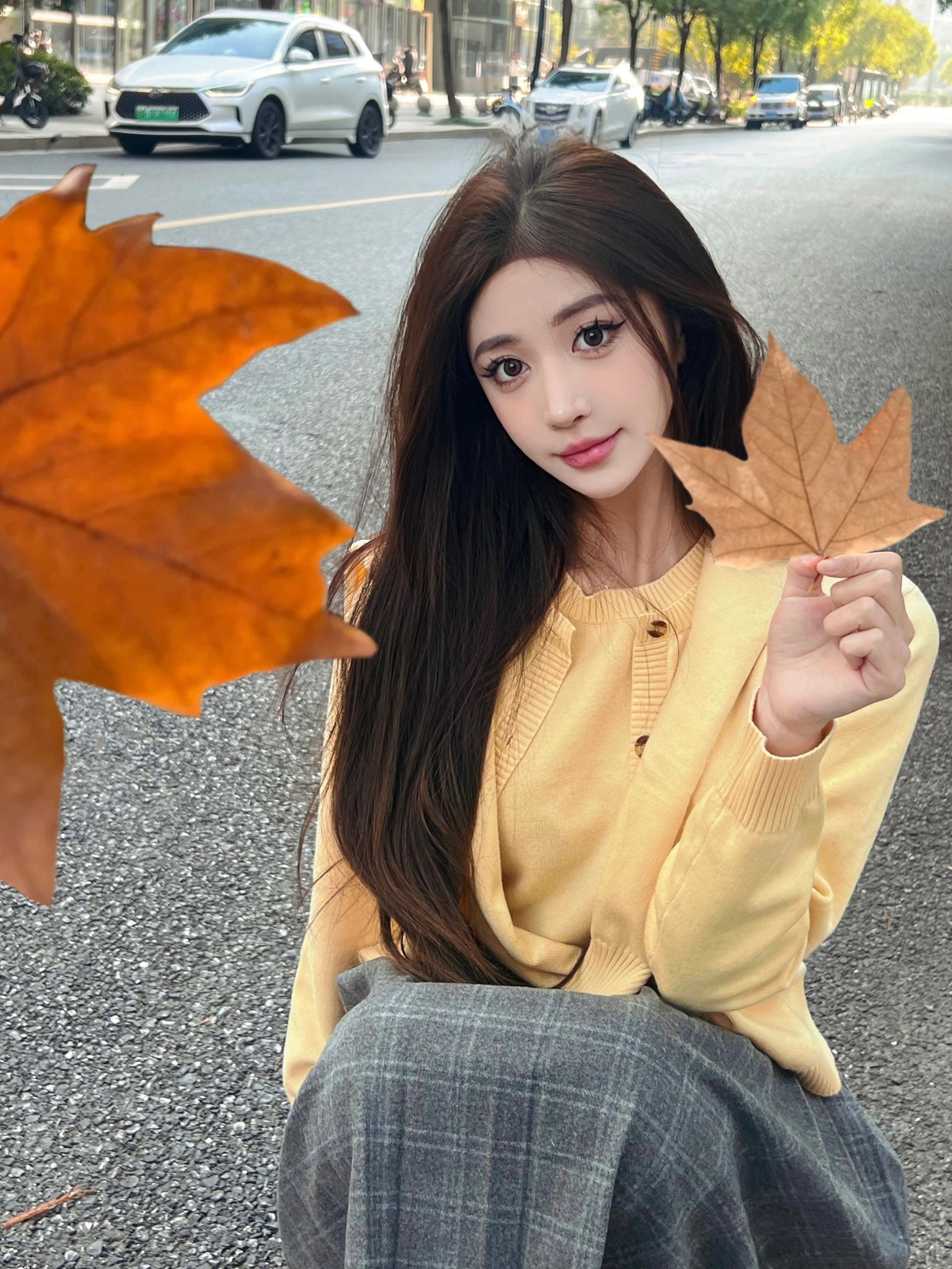 落叶🍂