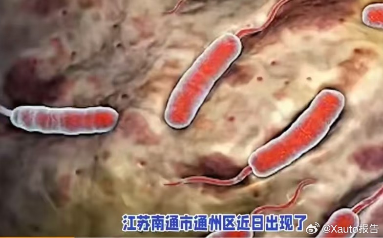 江苏南通通报1例霍乱病例“病从口入，祸从口出”，霍乱主要经粪口途径传播，污染的食