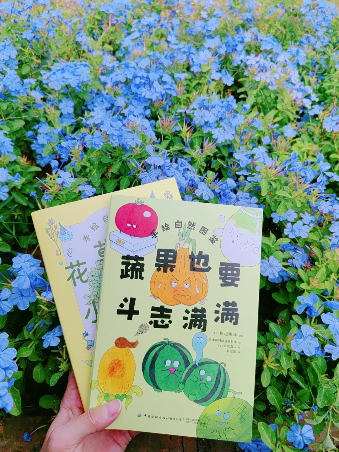 孝顺花和不孝花？这本手绘自然图鉴颠覆认知