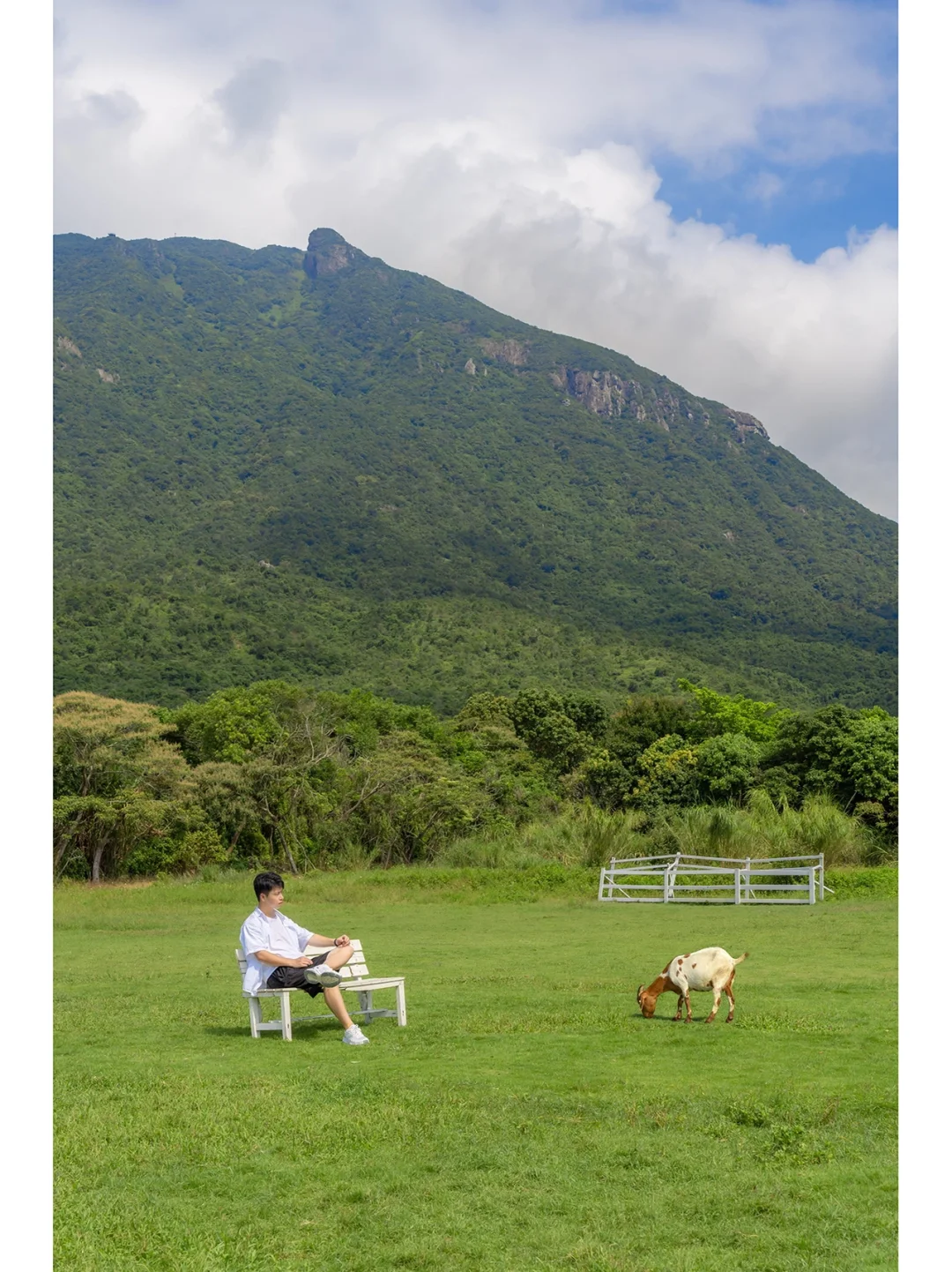 不用去新疆，来深圳的大草原也能过精致生活