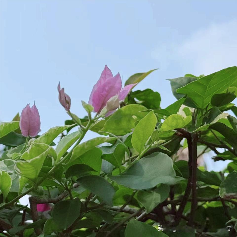 益阳市迎来新的政府主要负责同志
 
4月21日，75后的刘勇会履新该市。
  