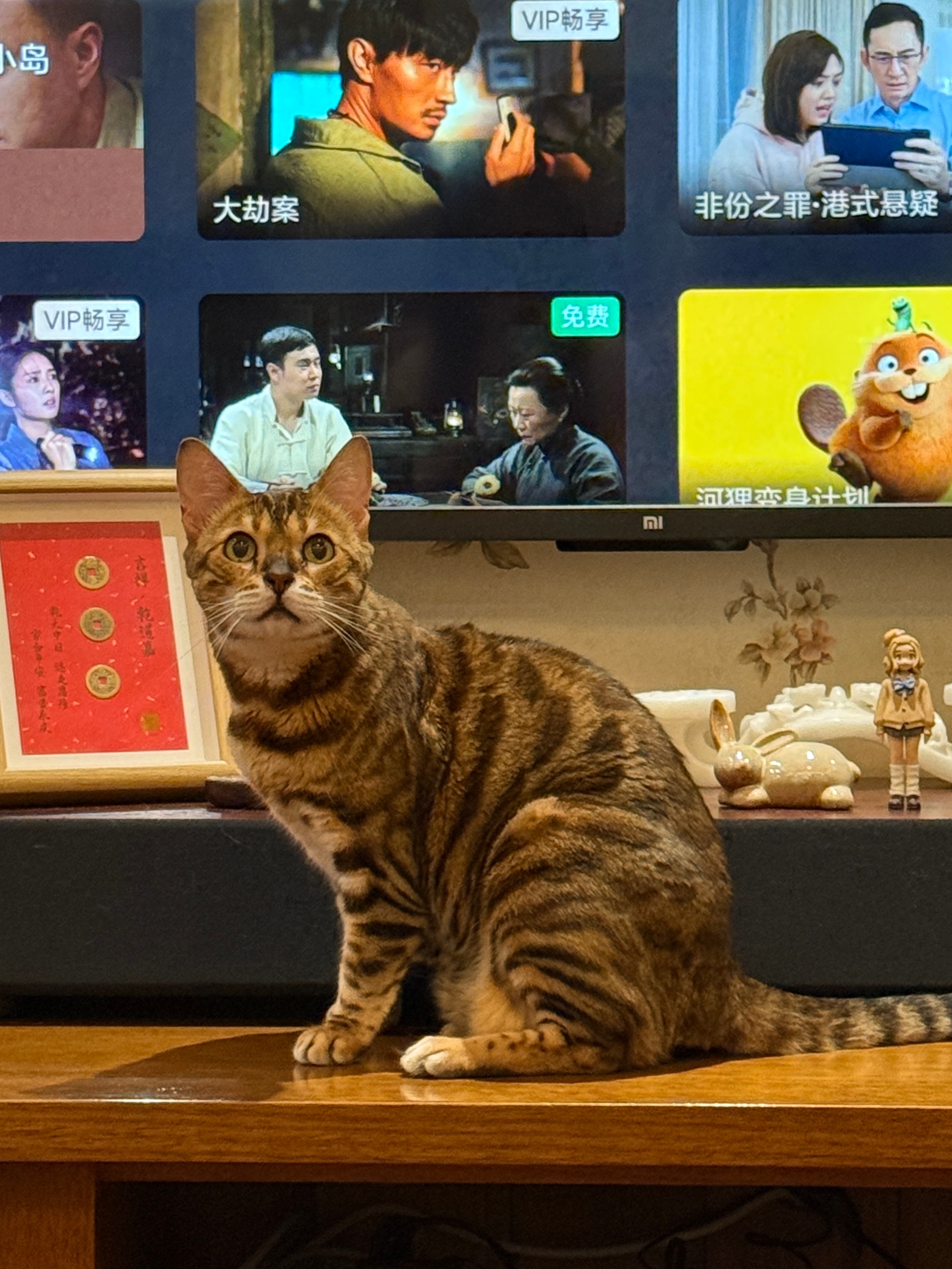 阿祖气色也不错