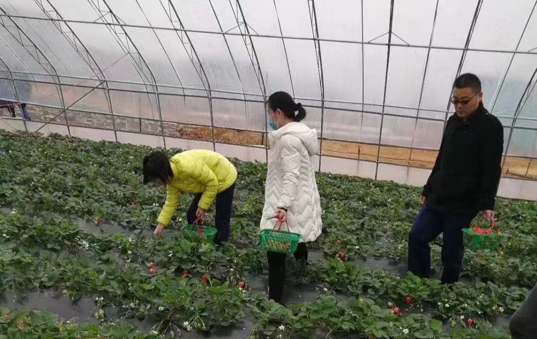【乡村振兴在行动：走进乡村振兴的前沿阵地】 曲阜师范大学  曲园学子三下乡  大