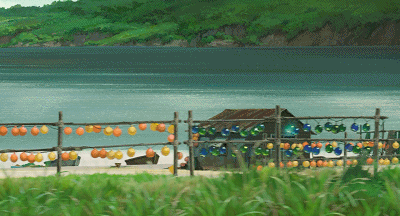 待天晴日暖，一切平安，我们再相约春游吧。